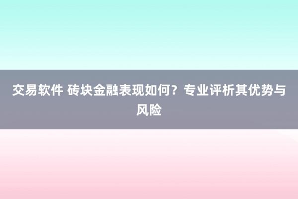 交易软件 砖块金融表现如何？专业评析其优势与风险