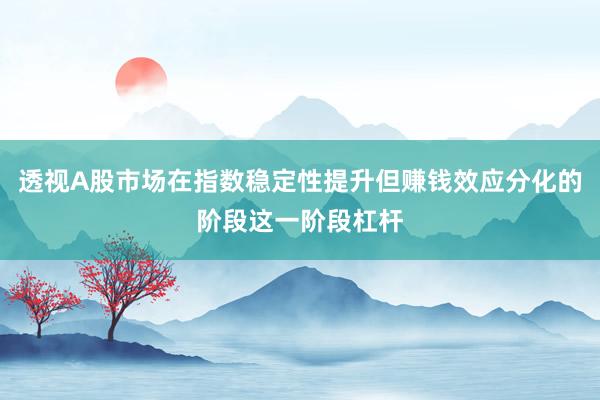 透视A股市场在指数稳定性提升但赚钱效应分化的阶段这一阶段杠杆