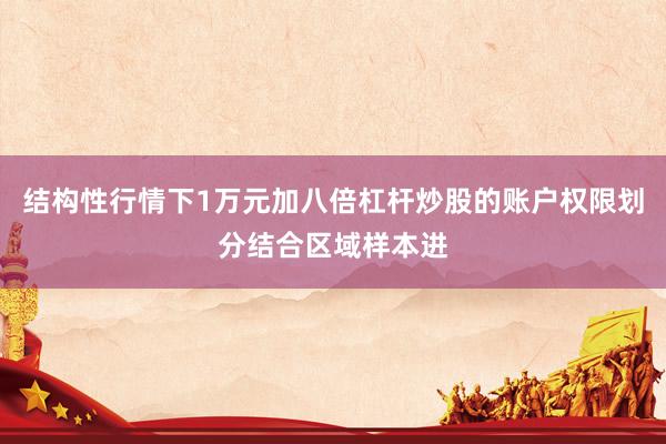 结构性行情下1万元加八倍杠杆炒股的账户权限划分结合区域样本进