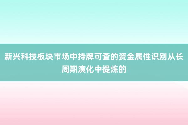新兴科技板块市场中持牌可查的资金属性识别从长周期演化中提炼的
