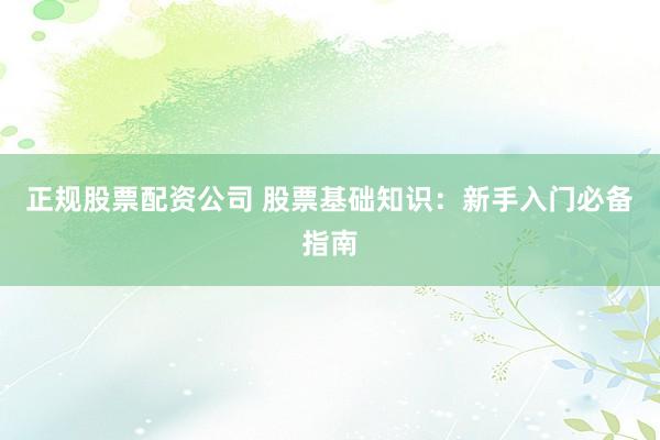 正规股票配资公司 股票基础知识：新手入门必备指南