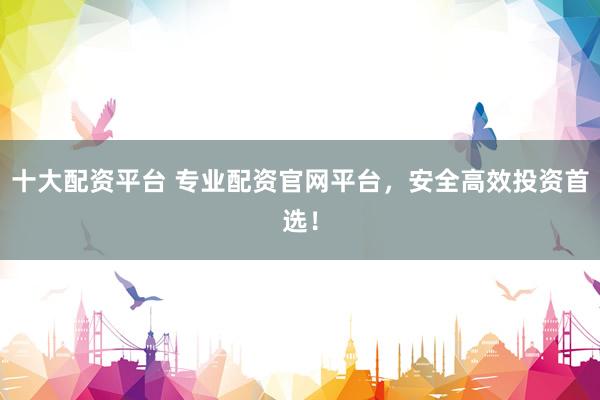 十大配资平台 专业配资官网平台，安全高效投资首选！