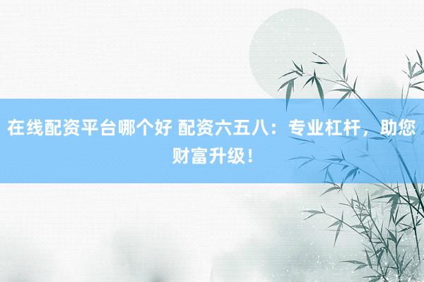 在线配资平台哪个好 配资六五八：专业杠杆，助您财富升级！
