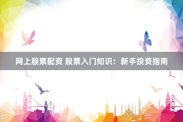 网上股票配资 股票入门知识：新手投资指南
